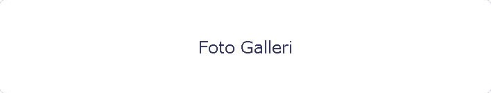 Foto Galleri